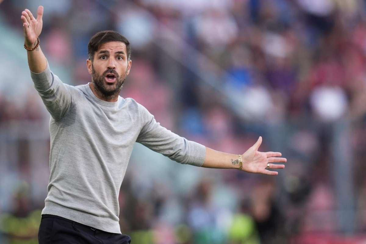 Fabregas deluso