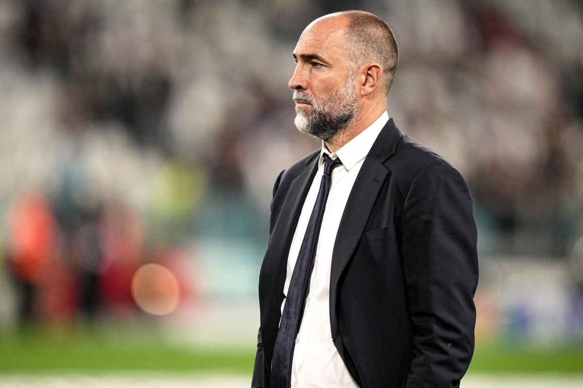 Tudor in campo